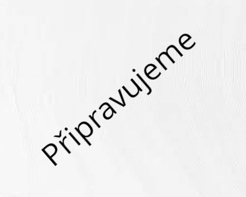 Další vůz připravujeme